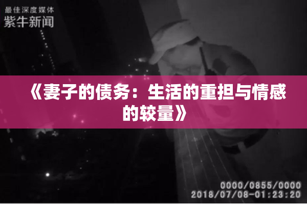 《妻子的债务：生活的重担与情感的较量》