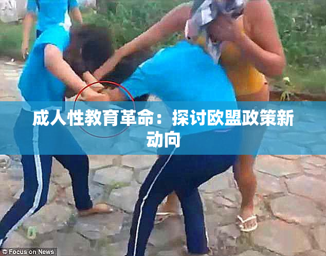 成人性教育革命：探讨欧盟政策新动向