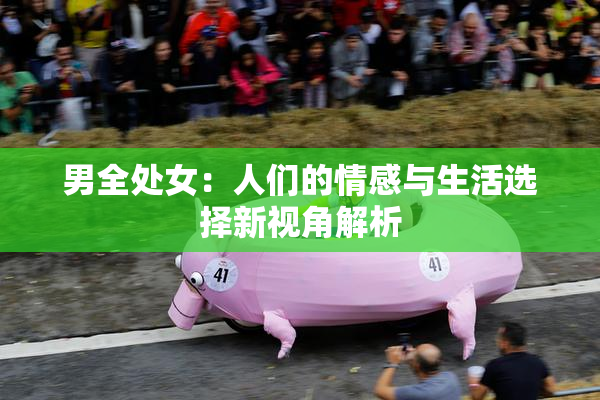 男全处女：人们的情感与生活选择新视角解析