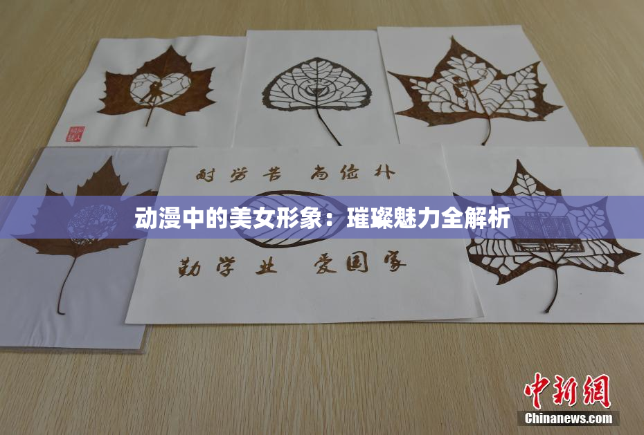 动漫中的美女形象：璀璨魅力全解析