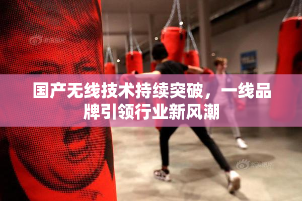 国产无线技术持续突破，一线品牌引领行业新风潮