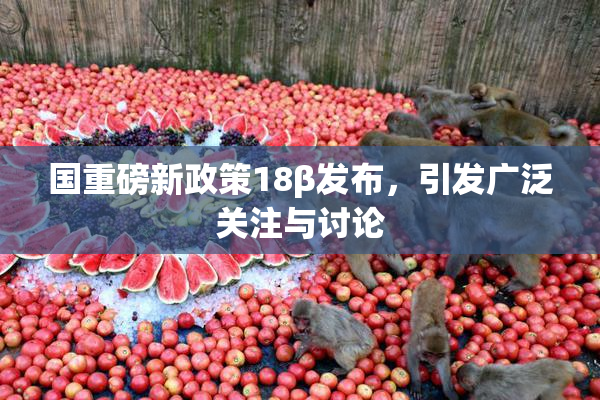 国重磅新政策18β发布，引发广泛关注与讨论