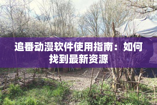 追番动漫软件使用指南：如何找到最新资源