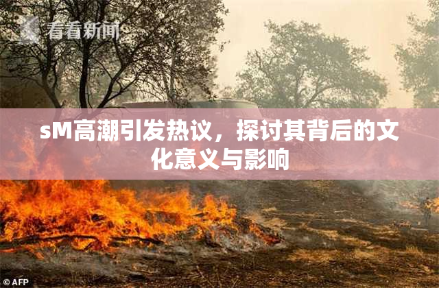 sM高潮引发热议，探讨其背后的文化意义与影响