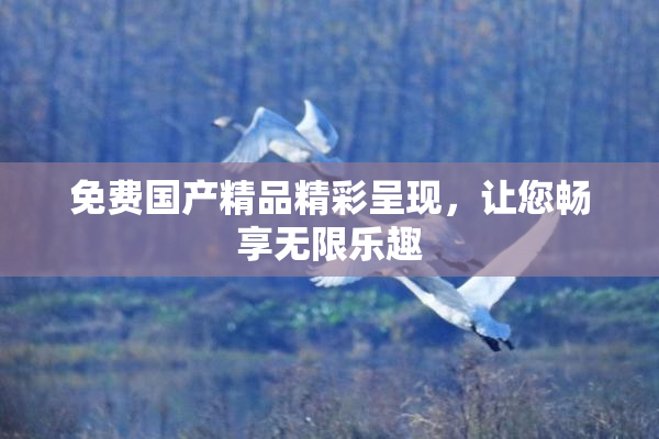 免费国产精品精彩呈现，让您畅享无限乐趣
