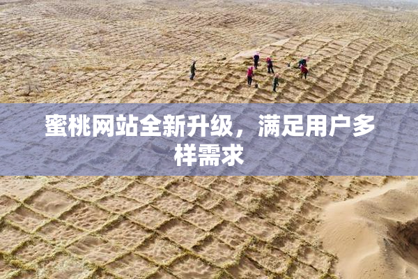蜜桃网站全新升级，满足用户多样需求