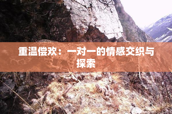 重温偿欢：一对一的情感交织与探索