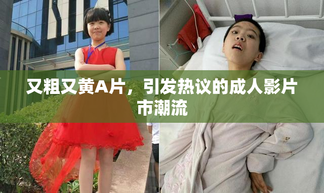 又粗又黄A片，引发热议的成人影片市潮流
