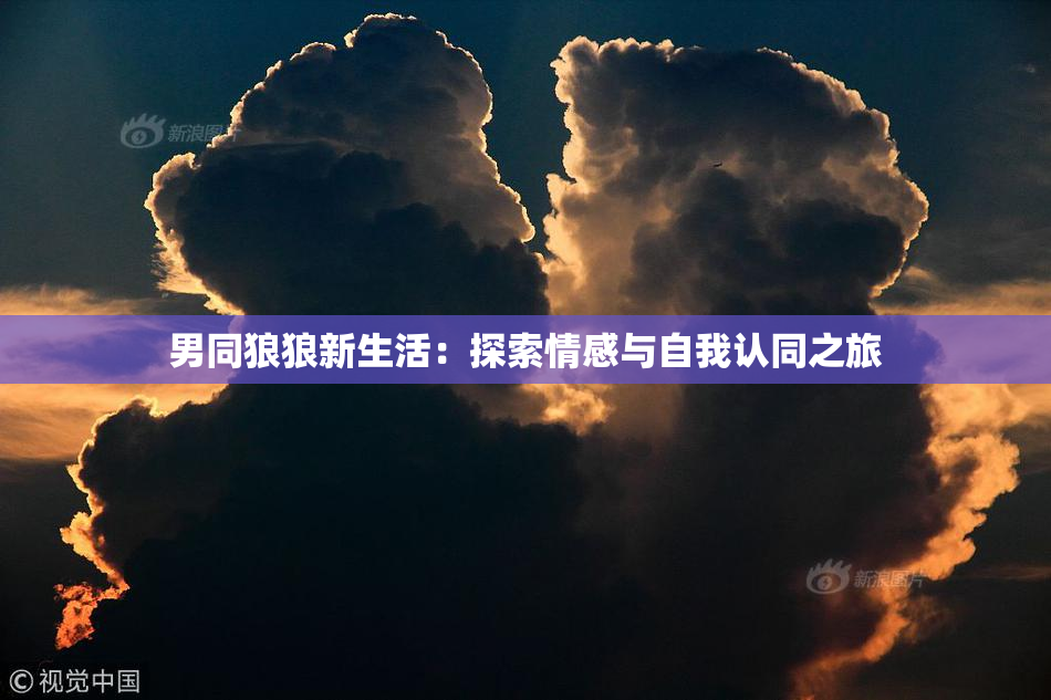 男同狼狼新生活：探索情感与自我认同之旅