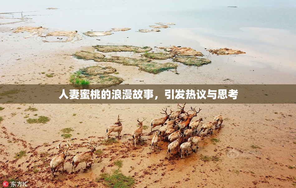 人妻蜜桃的浪漫故事，引发热议与思考