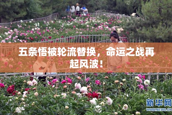 五条悟被轮流替换，命运之战再起风波！