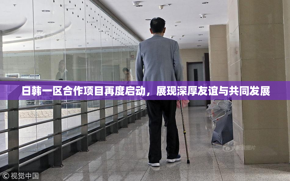 日韩一区合作项目再度启动，展现深厚友谊与共同发展