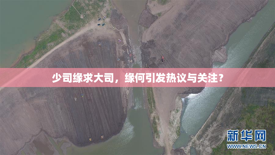少司缘求大司，缘何引发热议与关注？
