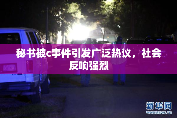 秘书被c事件引发广泛热议，社会反响强烈