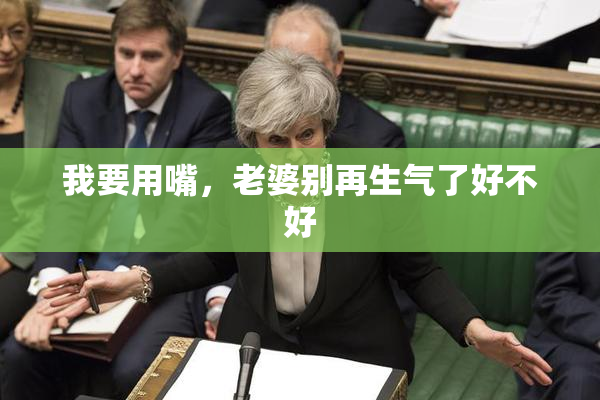 我要用嘴，老婆别再生气了好不好