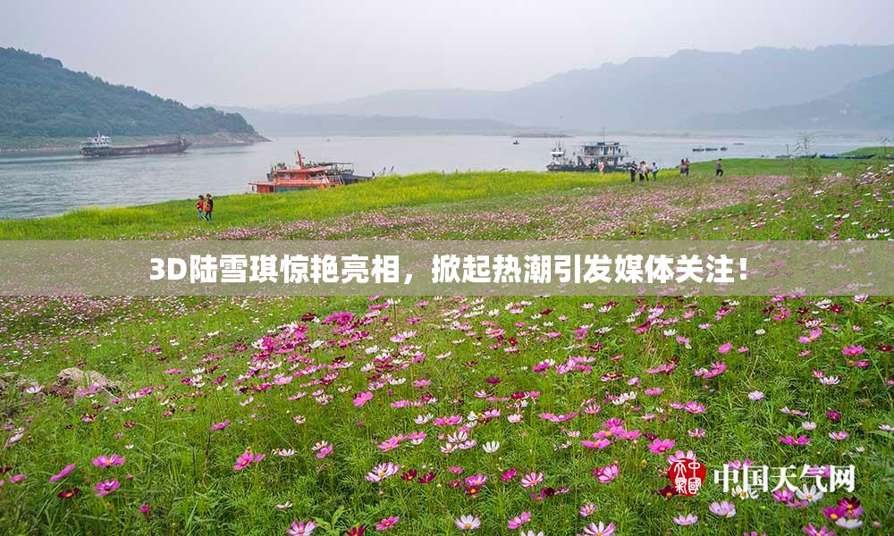 3D陆雪琪惊艳亮相，掀起热潮引发媒体关注！