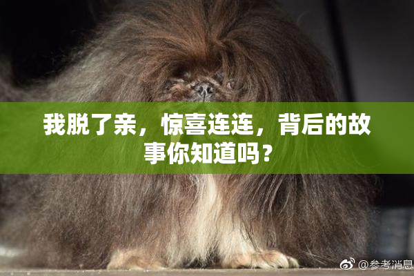 我脱了亲，惊喜连连，背后的故事你知道吗？
