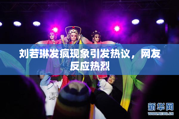 刘若琳发疯现象引发热议，网友反应热烈