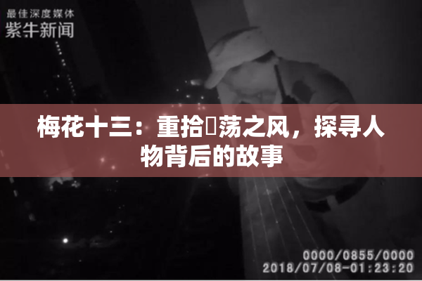 梅花十三：重拾婬荡之风，探寻人物背后的故事