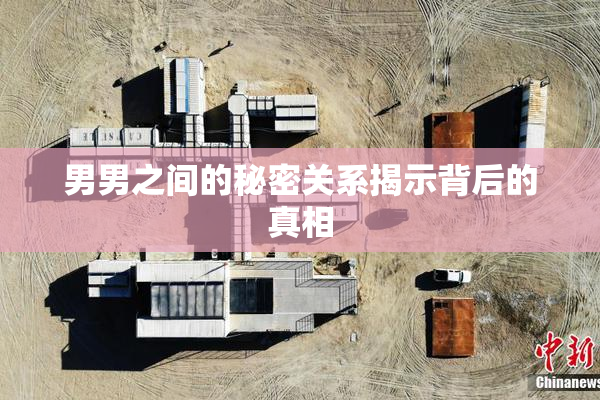 男男之间的秘密关系揭示背后的真相