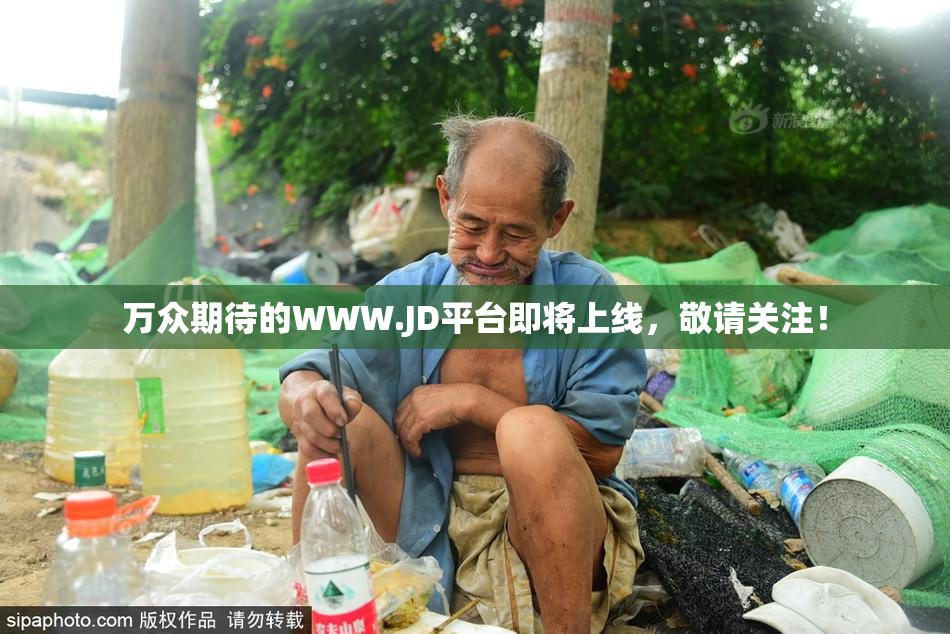 万众期待的WWW.JD平台即将上线，敬请关注！