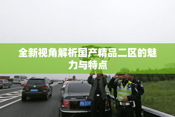 全新视角解析国产精品二区的魅力与特点