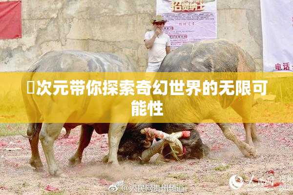 囧次元带你探索奇幻世界的无限可能性