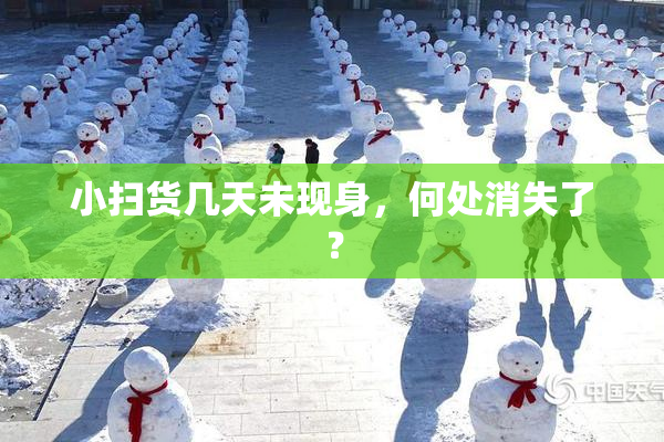 小扫货几天未现身，何处消失了？