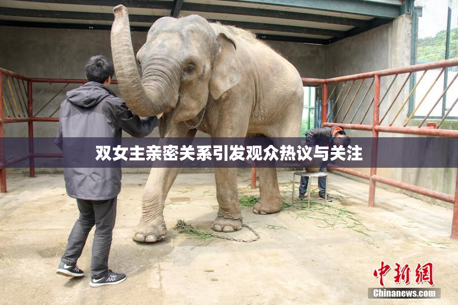 双女主亲密关系引发观众热议与关注