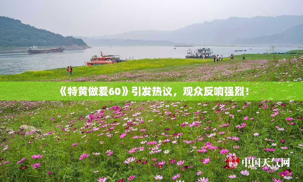《特黄做爰60》引发热议，观众反响强烈！