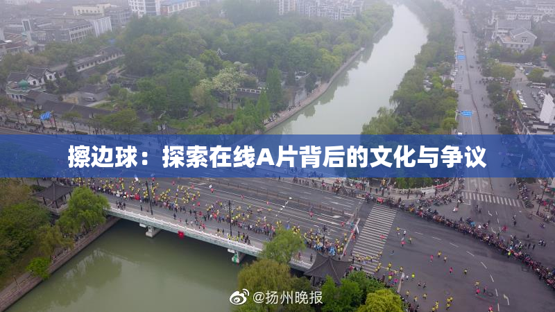 擦边球：探索在线A片背后的文化与争议