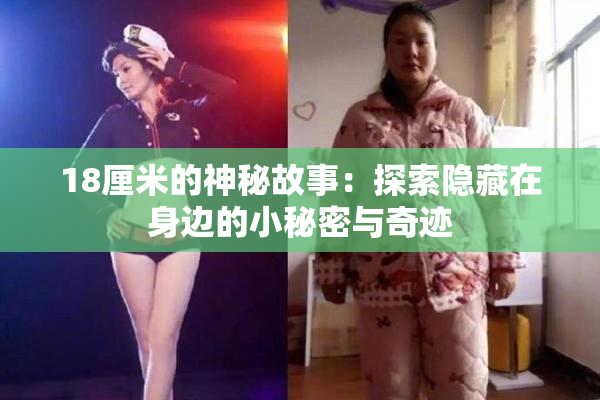 18厘米的神秘故事：探索隐藏在身边的小秘密与奇迹
