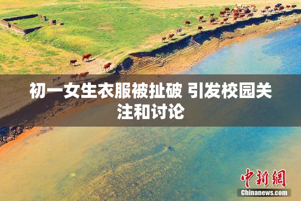 初一女生衣服被扯破 引发校园关注和讨论