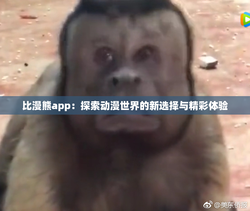 比漫熊app：探索动漫世界的新选择与精彩体验