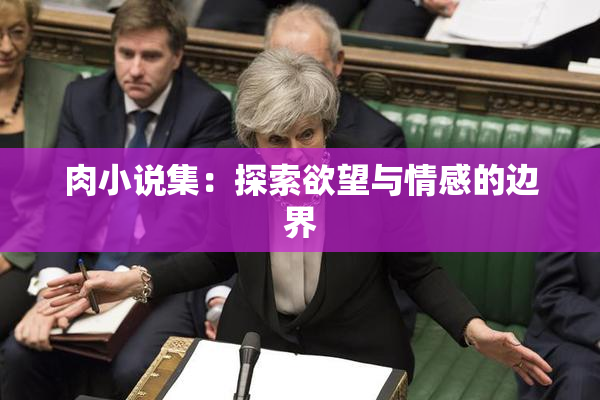 肉小说集：探索欲望与情感的边界