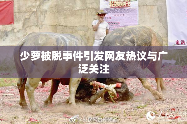 少萝被脱事件引发网友热议与广泛关注