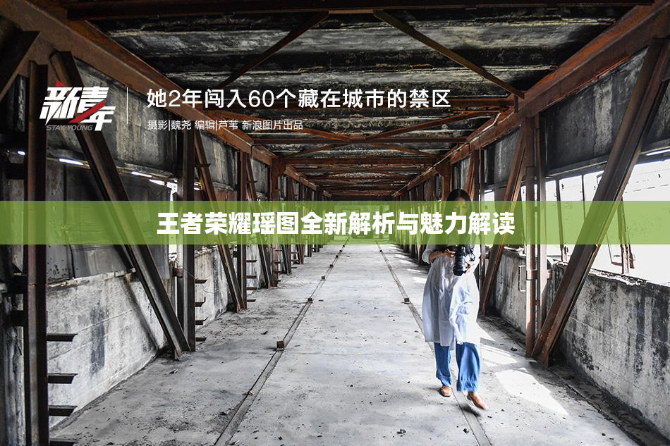 王者荣耀瑶图全新解析与魅力解读