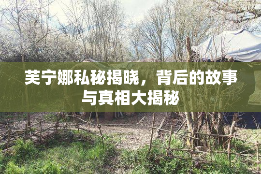 芙宁娜私秘揭晓，背后的故事与真相大揭秘