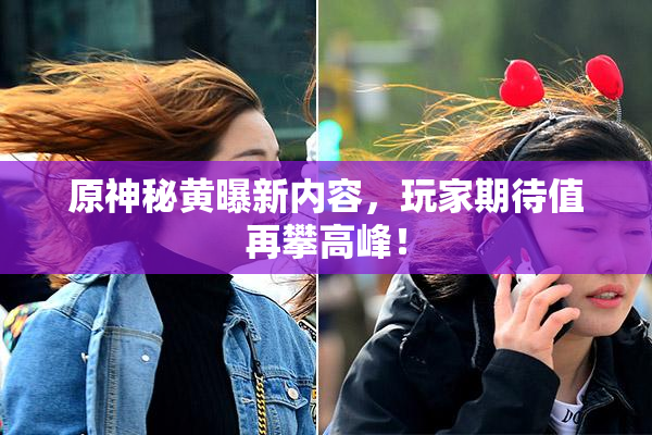 原神秘黄曝新内容，玩家期待值再攀高峰！