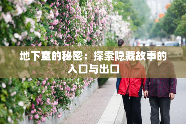 地下室的秘密：探索隐藏故事的入口与出口