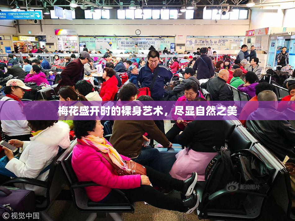 梅花盛开时的裸身艺术，尽显自然之美