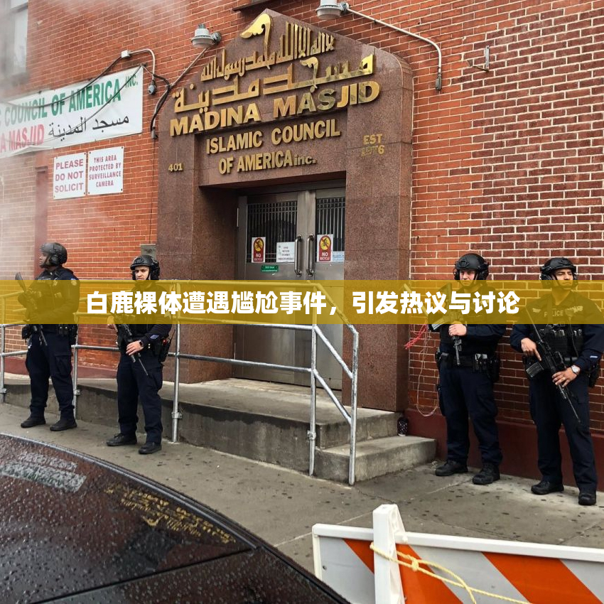 白鹿裸体遭遇尴尬事件，引发热议与讨论