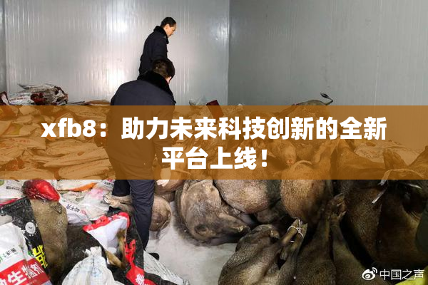 xfb8：助力未来科技创新的全新平台上线！