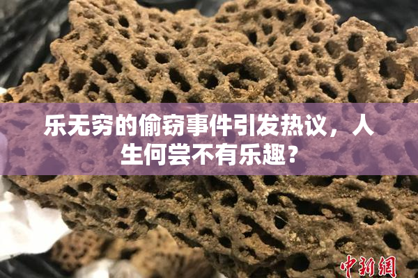 乐无穷的偷窃事件引发热议，人生何尝不有乐趣？