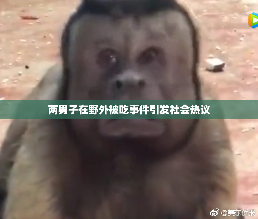 两男子在野外被吃事件引发社会热议