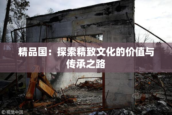 精品国：探索精致文化的价值与传承之路