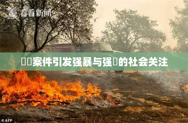 亂倫案件引发强暴与强姦的社会关注