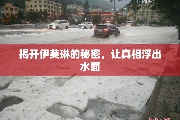 揭开伊芙琳的秘密，让真相浮出水面