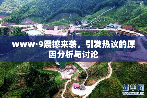 www·9震撼来袭，引发热议的原因分析与讨论