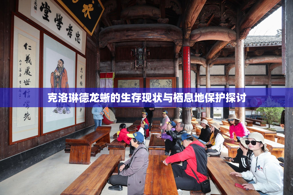 克洛琳德龙蜥的生存现状与栖息地保护探讨